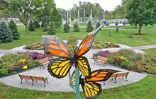 Backyard transformations with durable decking.